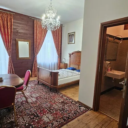 Hotel Lodzki Palacyk Historic